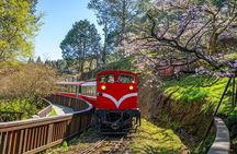 Exclusive 3-Day Sun Moon Lake & Alishan Private Tour