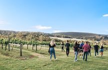A Sense of Place a Wine Tasting Experience in Denmark