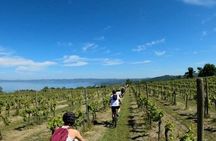 Valle del Lago eBike Tour with Food & Wine Tasting Experience