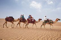 Dubai Desert Safari Tour