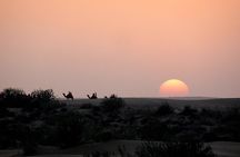 2 Days 2 Night Camel Safari