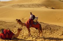 2 Days 2 Night Camel Safari
