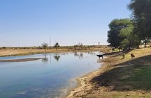 2 Days 2 Night Camel Safari