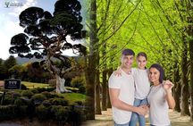 Nami Island& Petite France& Garden of Morning Calm& Italian Village One-Day Tour