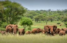 3 Day Tanzania Serengeti & Ngorongoro Crater Safari