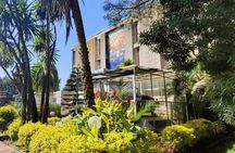 A Guided Tour of Addis Ababa That Includes a City Viewpoint