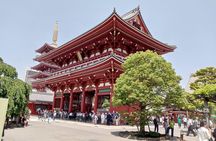 Tokyo Unlocked: Private Full-Day Tour