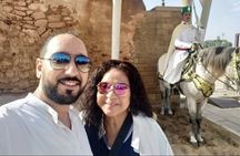 Private Day Trip to Rabat Departure from Casablanca