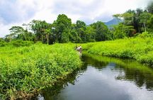 3 Day Manu Amazon Rainforest (Private Tour)