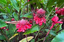3 Day Manu Amazon Rainforest (Private Tour)