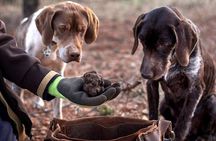 Truffle hunting tour from Rijeka