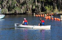  St. Johns River Cruise - Blue Spring State Park 