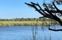 Pontoon Boat Rental Crystal River 