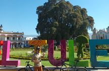Bike tour to the Tule Tree and the Gastronomic Market