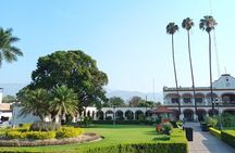 Bike tour to the Tule Tree and the Gastronomic Market