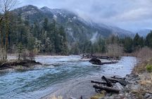 Half Day Guided Tour of Olympic National Park