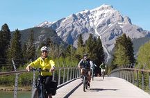 Banff Evening Ebike Wildlife Tour