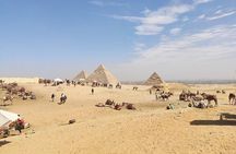 Discover Giza: Pyramids, Sphinx Tour with Lunch & Camel Adventure