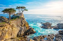 17 Mile and Pebble Beach Tour from Los Angeles to San Francisco
