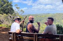 3 Hours Private Hiking and Bushwalking in the Aiea Loop Trail 