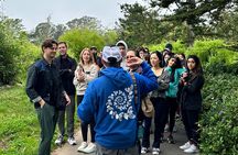 Private Exploration of the Birds of San Francisco