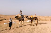 Agadir Camel Ride Experience with BBQ include