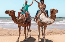 Agadir Camel Ride Experience with BBQ include