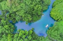Pro Guided Small Group SUP Downriver Tour at Niyodo River