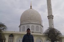 Srinagar- transfers+Hotel+Sightseeing
