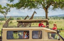 2 Days Mikumi Safari Tour from Zanzibar