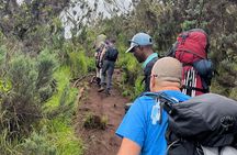 6 Days Kilimanjaro Climbing Marangu Route