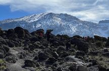 6 Days Kilimanjaro Climbing Marangu Route