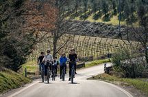 Chianti Classico E-bike Adventure Lunch