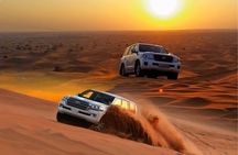 Desert Safari With BBQ Dinner, Dune Bashing & Camel Ride