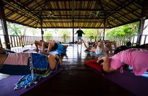 Breathwork and Ice Bath Workshop in Koh Samui