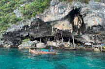 Luxury Speedboat : Day trip to PhiPhi with National Park fee 