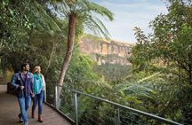 Blue Mountains Day Tour from Three Sisters to Zig Zag Railway