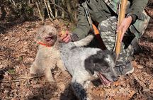 Truffle Hunting & Tasting in San Miniato Tuscany with Dogs