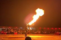 Dubai Desert Escape: Red Dunes Safari, Falcon, Camel & BBQ Dinner
