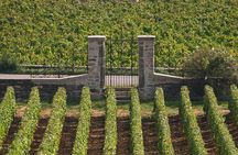 E-Bike Burgundy Tour with Tastings and Lunch from Beaune or Dijon
