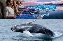 Whale Watching And Fly Over Iceland Guided Tour