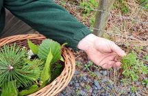 Adult Foraging Walk & Bushcraft Cookery Course for Beginners