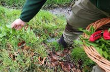 Adult Foraging Walk & Bushcraft Cookery Course for Beginners