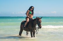 Bamboo Rafting & Horseback Ride n Swim Guided Tour In Ocho Rios