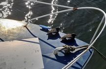 Isle of Man Wildlife & Scenic Adventure with Wildlife enthusiast