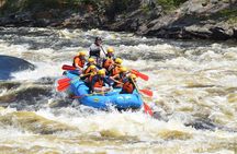 Full day rafting on the Ottawa River