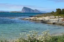 Private Day Tour in Tromsø through Nature and Culture