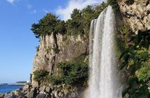 1 Day Free schedule Tour a lot of experince driver in jeju island
