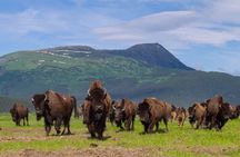 Wildlife Center with Lunch & Local Beer Sampling - Winter&Summer