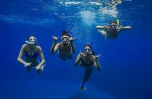 Turtle Town Snorkel with Photo and Video